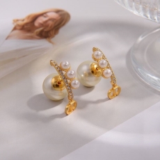 Christian Dior Earrings